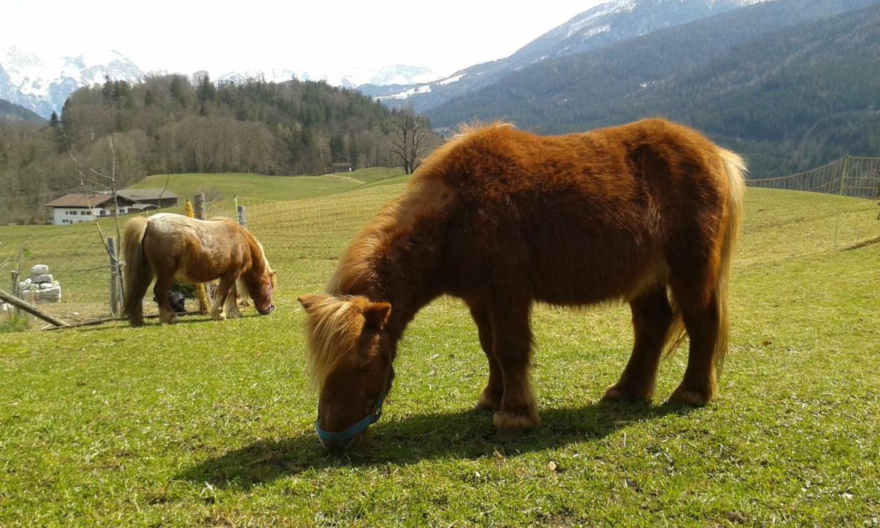 Vorderponholz Ferienwohnungen Ramsau bei Berchtesgaden Kültér fotó