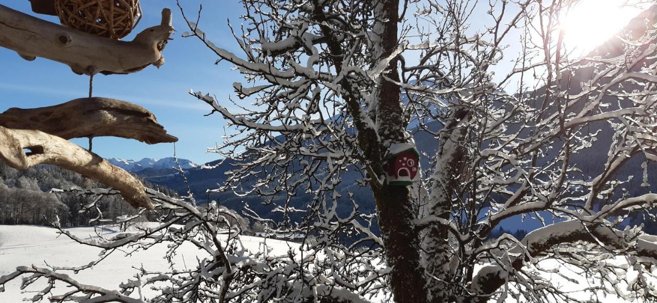 Vorderponholz Ferienwohnungen Ramsau bei Berchtesgaden Kültér fotó